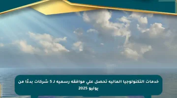 خدمات التكنولوجيا المالية تحصل على موافقة رسمية لـ 5 شركات بدءًا من يوليو 2025